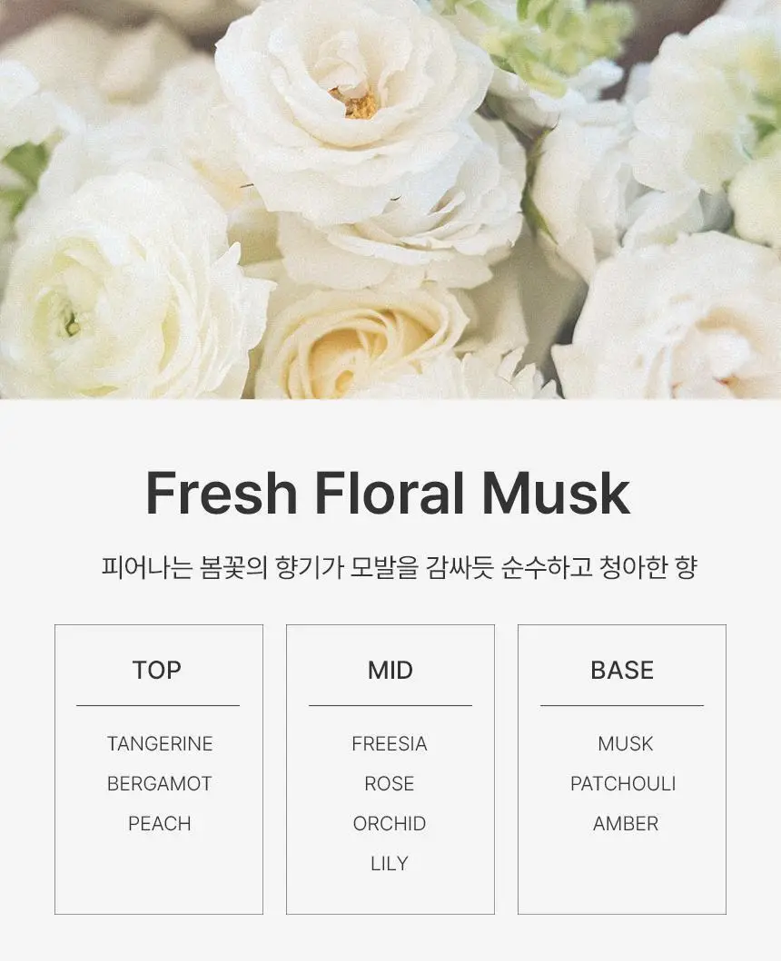 [한정기획] 커리쉴 에프터 살롱 케어 샴푸 500ml기획(+트리트먼트 100ml 증정) 상세페이지 25